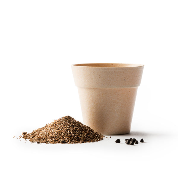 gorf:ce168f50365caf381275766b4dcafa0bd800fec2