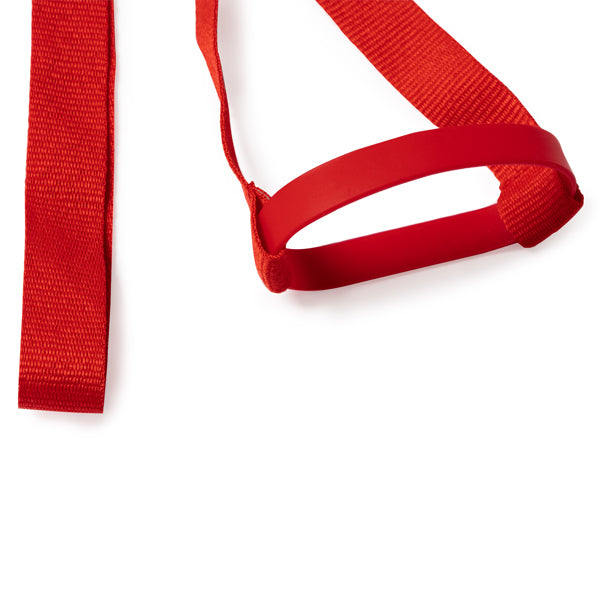Lanyard Aldaz 2026-06-16 11:36:51