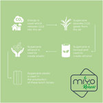Fiambrera de una sola capa "MIYO Renew"