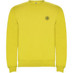 Sudadera de cuello redondo infantil "Clasica"