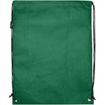 Bolsa de tela sin tejer de material reciclado GRS con cordón de 5 l "Evergreen"