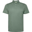Verde Laurel