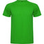 Verde Helecho