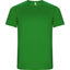 Verde Helecho