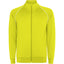Amarillo Fluor