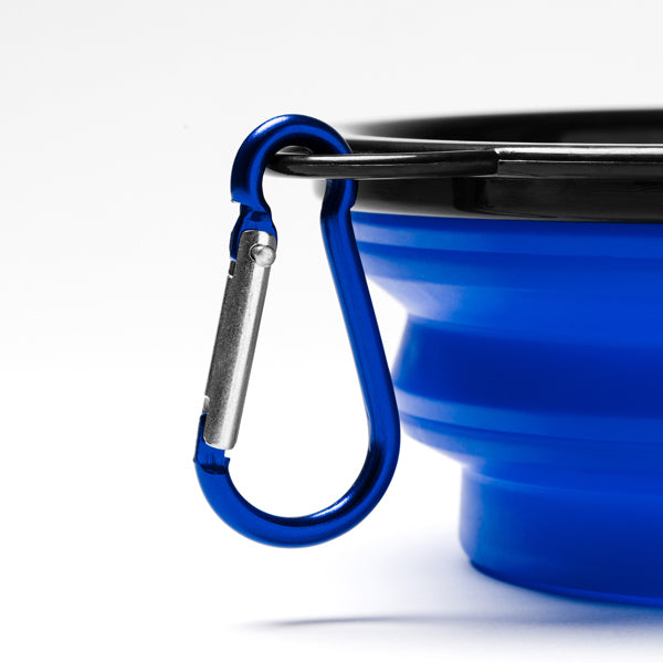 Bowl Para Mascotas Shira 2026-06-16 14:26:19