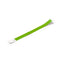 Verde Helecho
