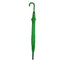 Verde Helecho