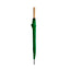 Verde Helecho