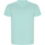 Verde Menta