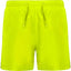 Amarillo Fluor