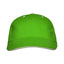 Verde Helecho
