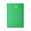 Verde Helecho