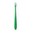 Verde Helecho